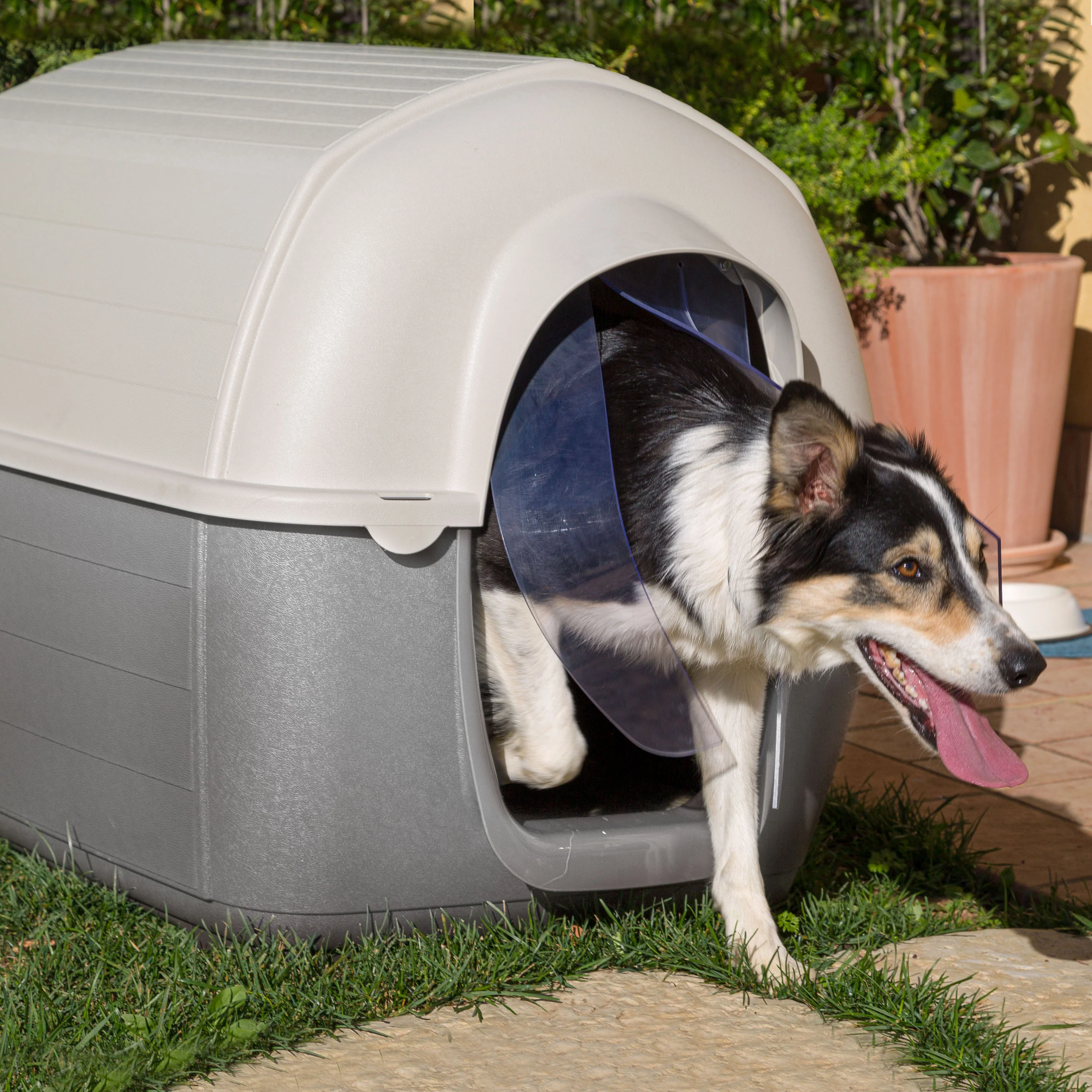 PORTA KENNY - Image 3