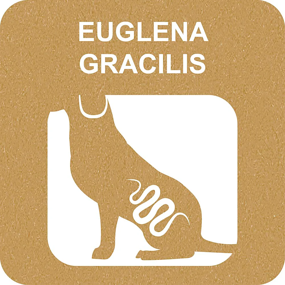 100% SNACK BASTONCINI - FUSILLI EUGLENA - Image 3