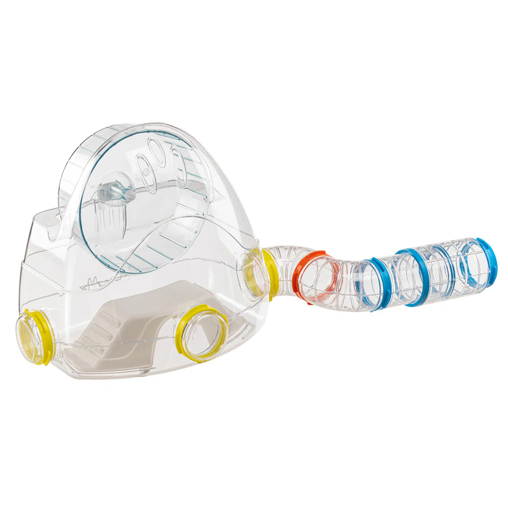 KIT GYM - Image 4