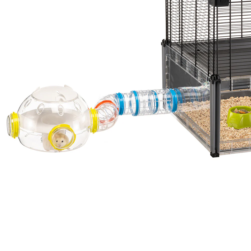 KIT LAB - Image 3