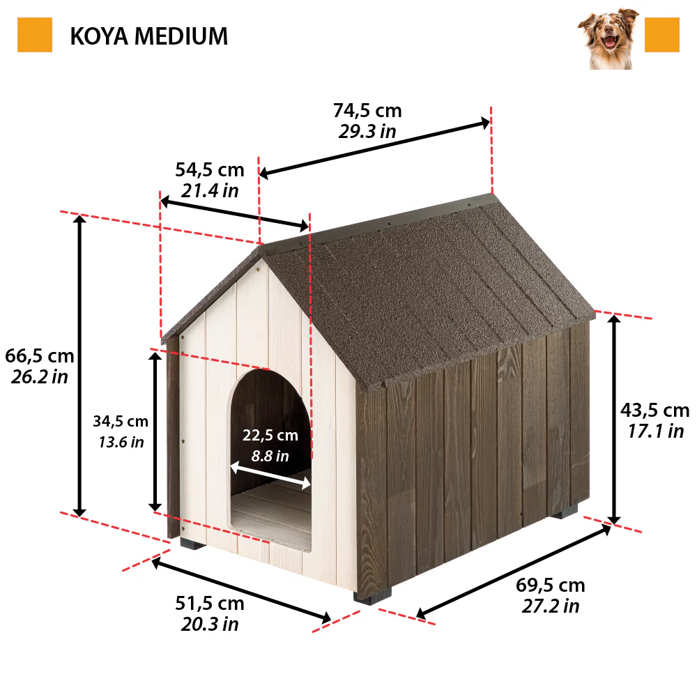KOYA - Image 4
