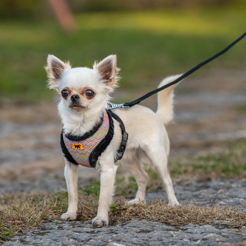 NIKITA P FUR - Image 4