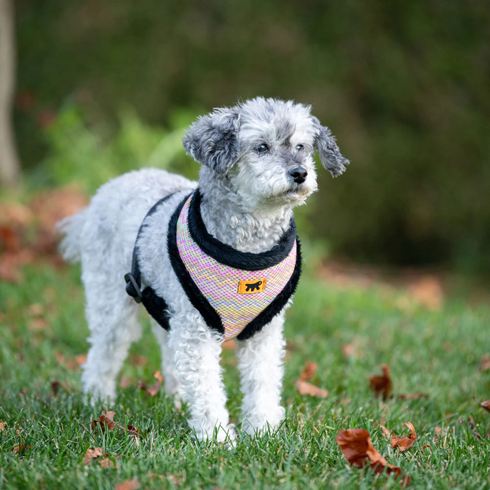 NIKITA P FUR - Image 9