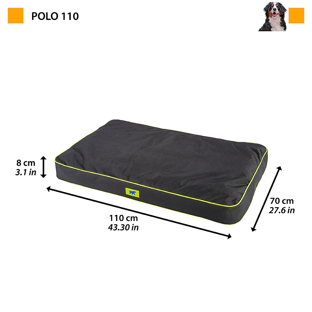 POLO - Image 43