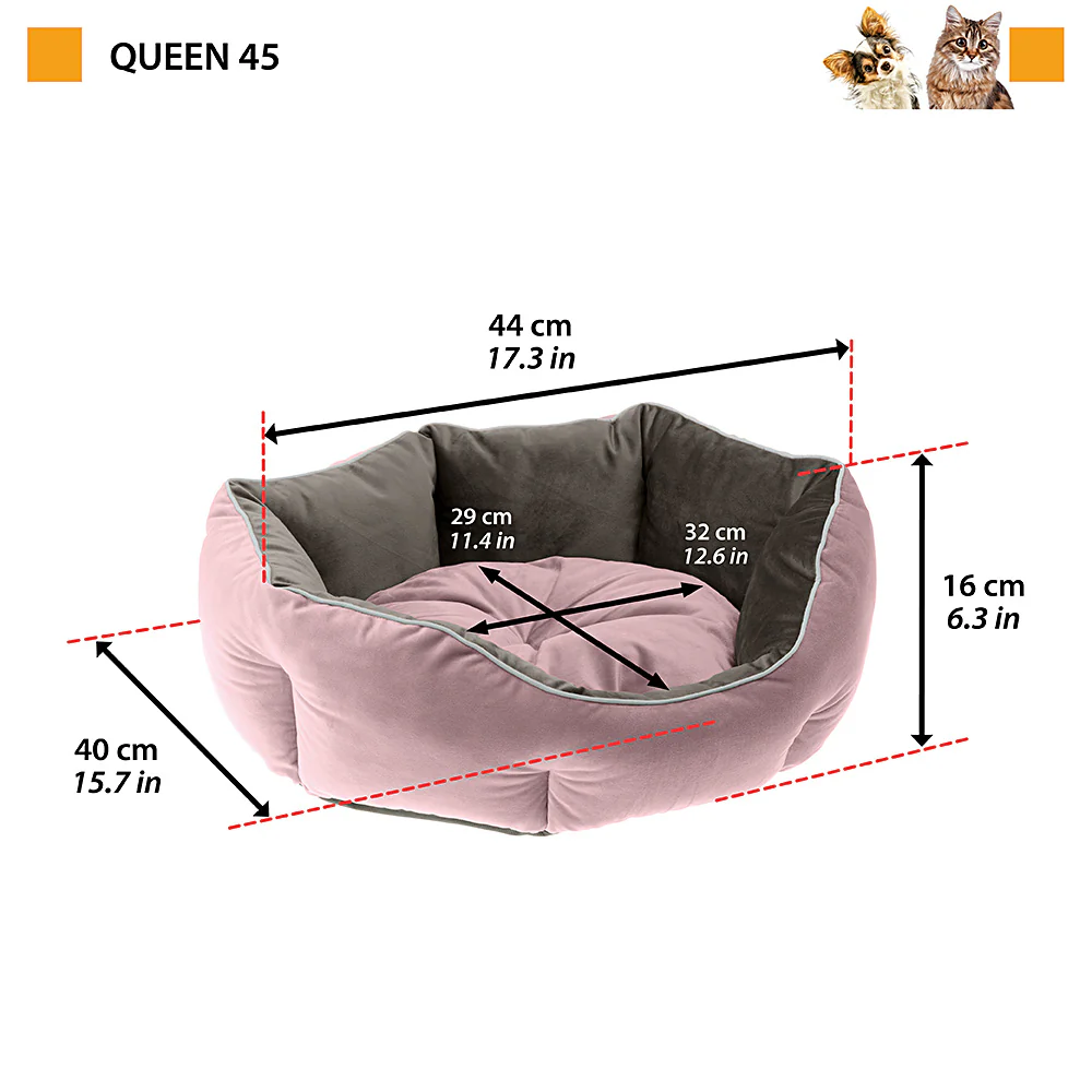 QUEEN - Image 2