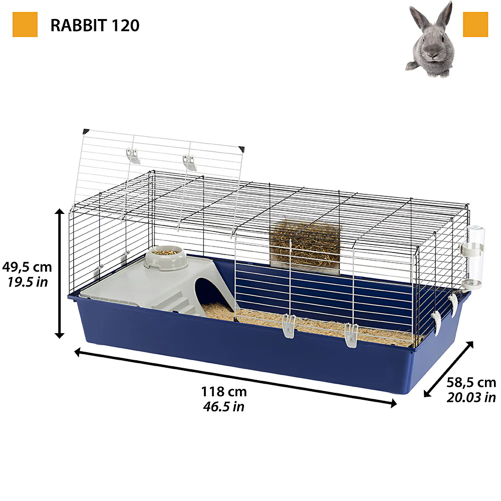 RABBIT 120 - Image 2