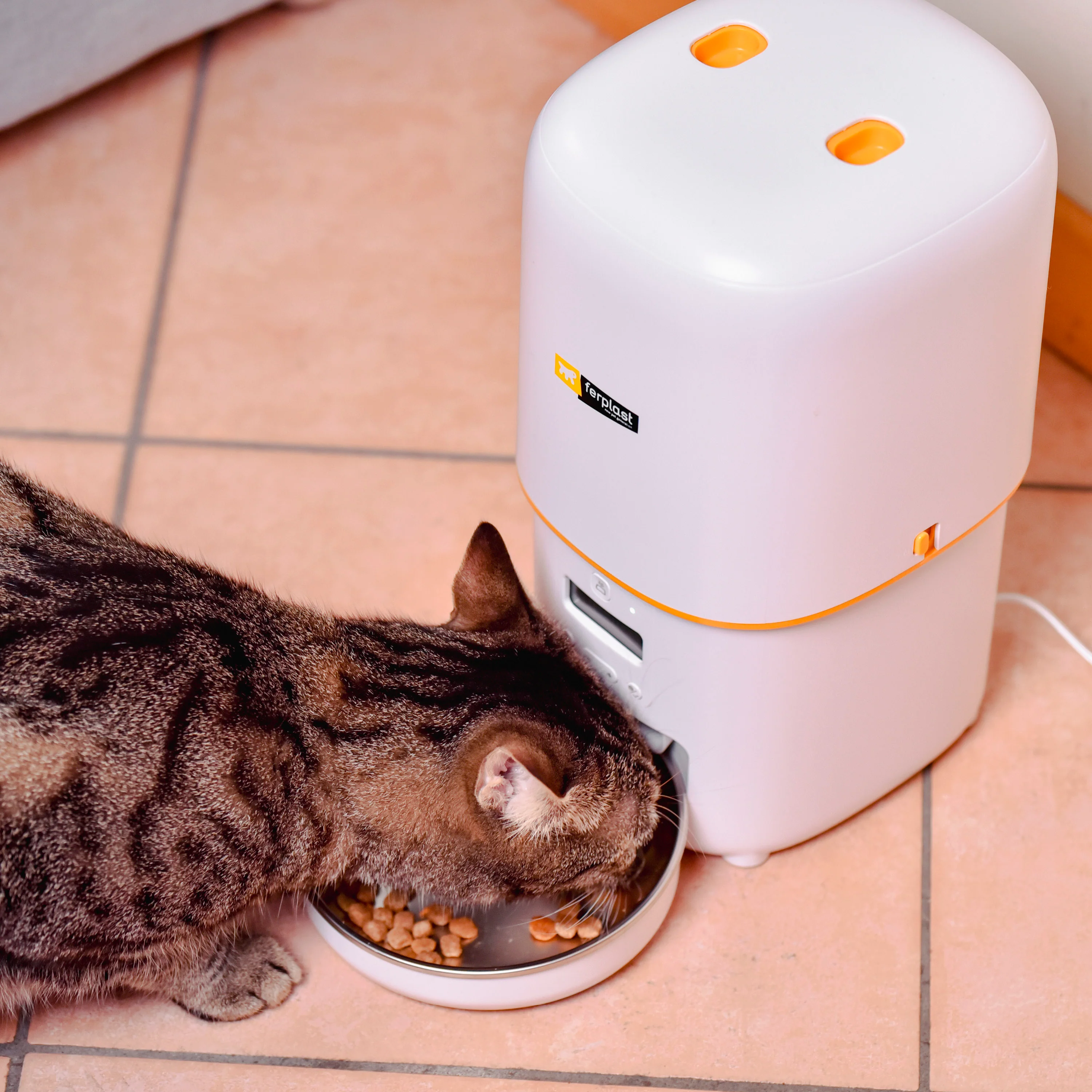 RISTO PET - Image 3