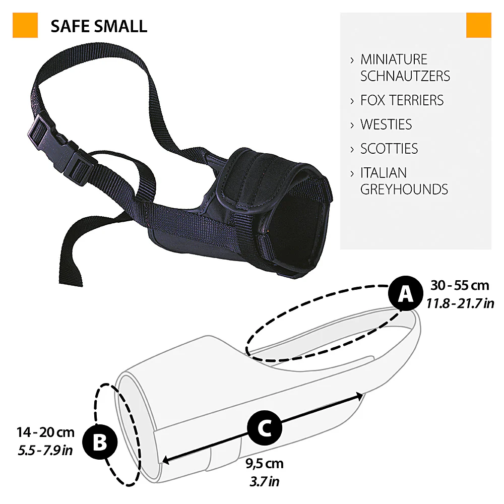 SAFE - Image 6