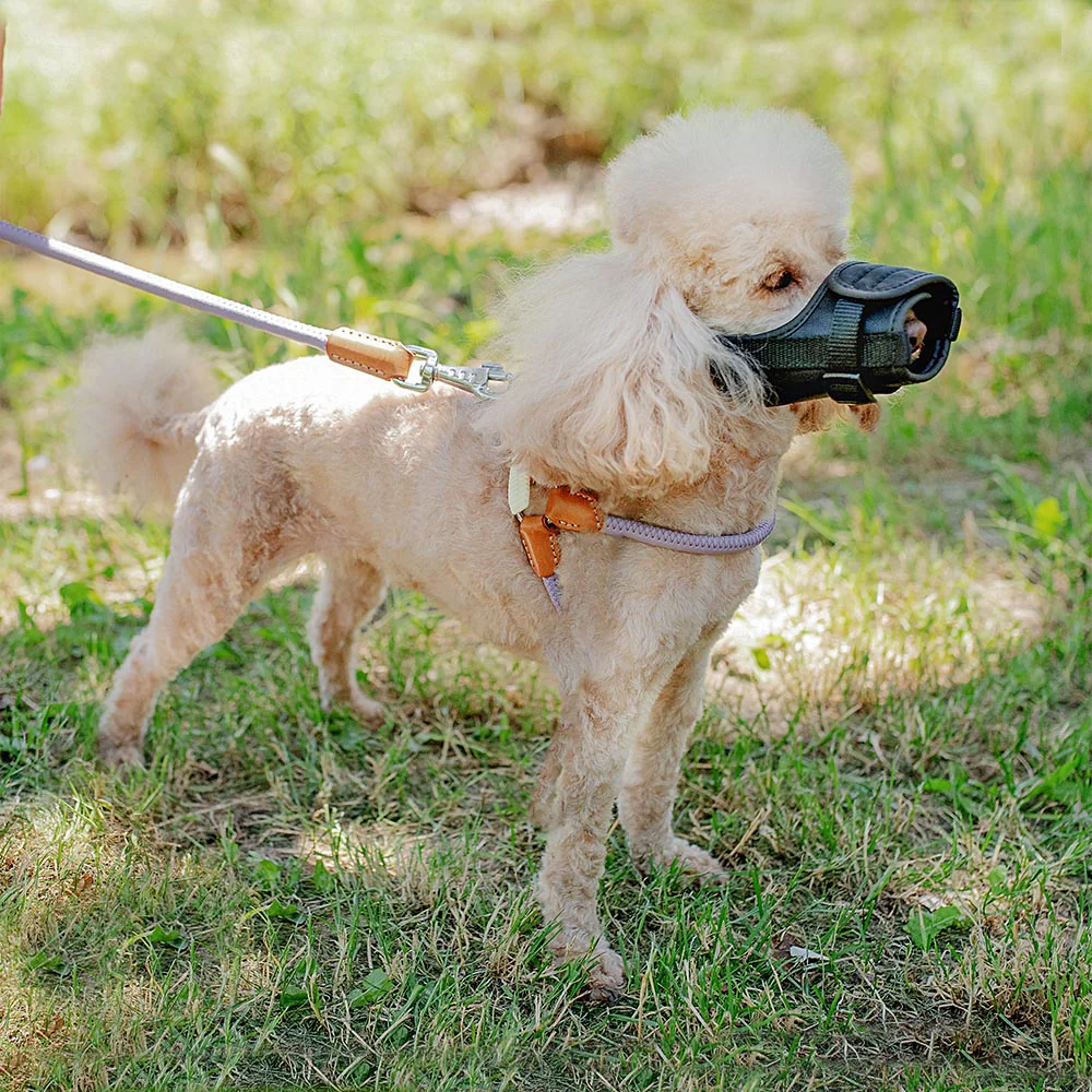 SAFE - Image 9