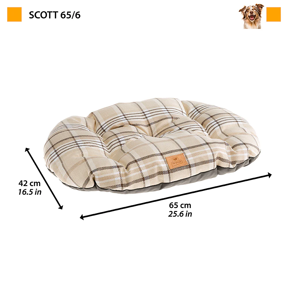 SCOTT - Image 22