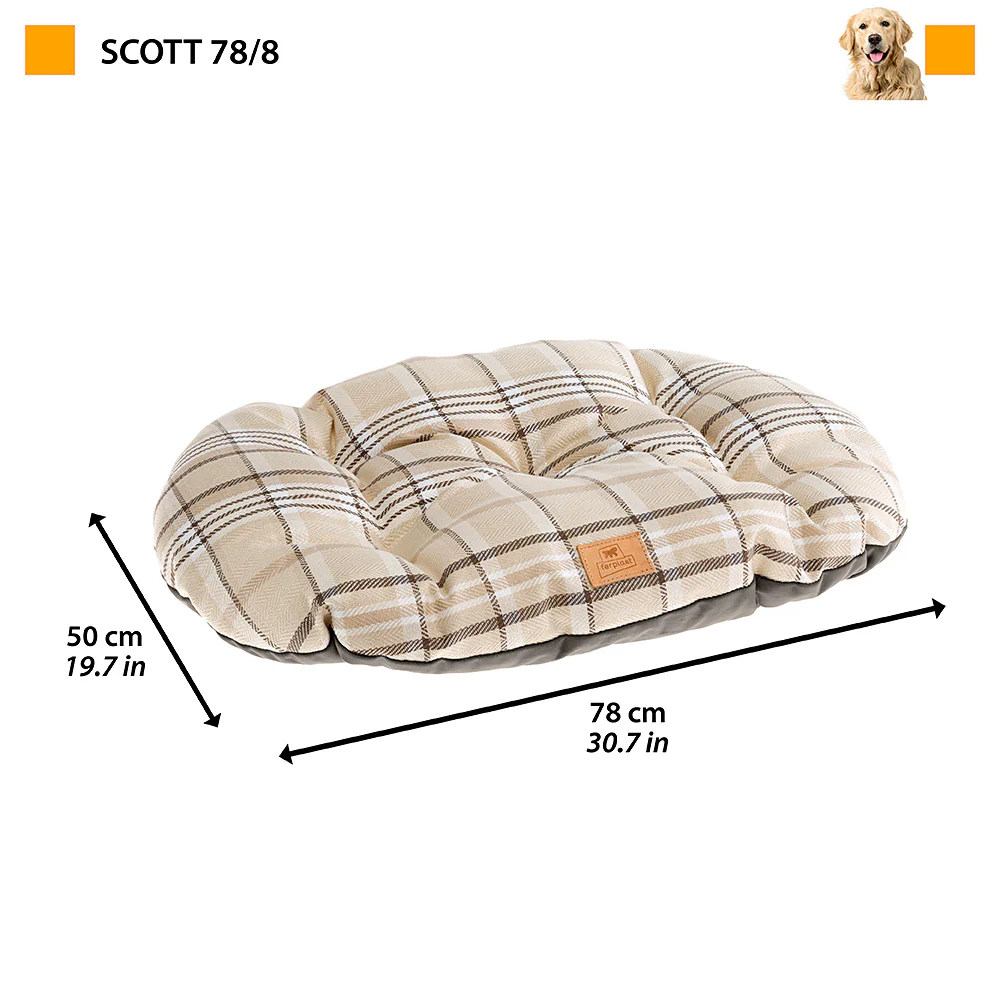 SCOTT - Image 27