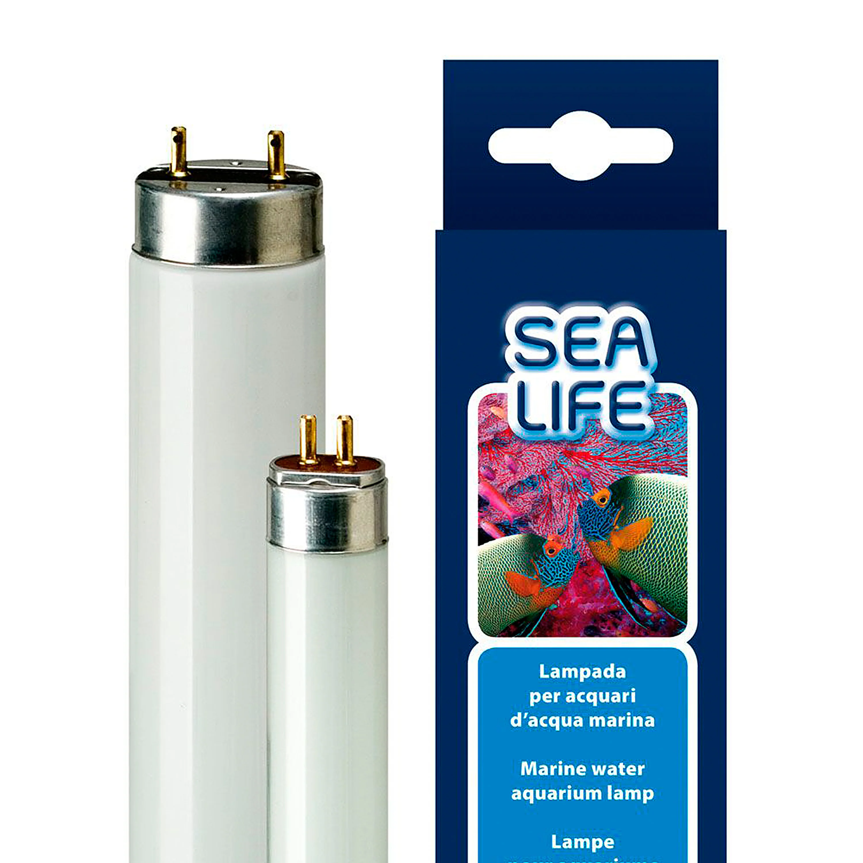 SEALIFE