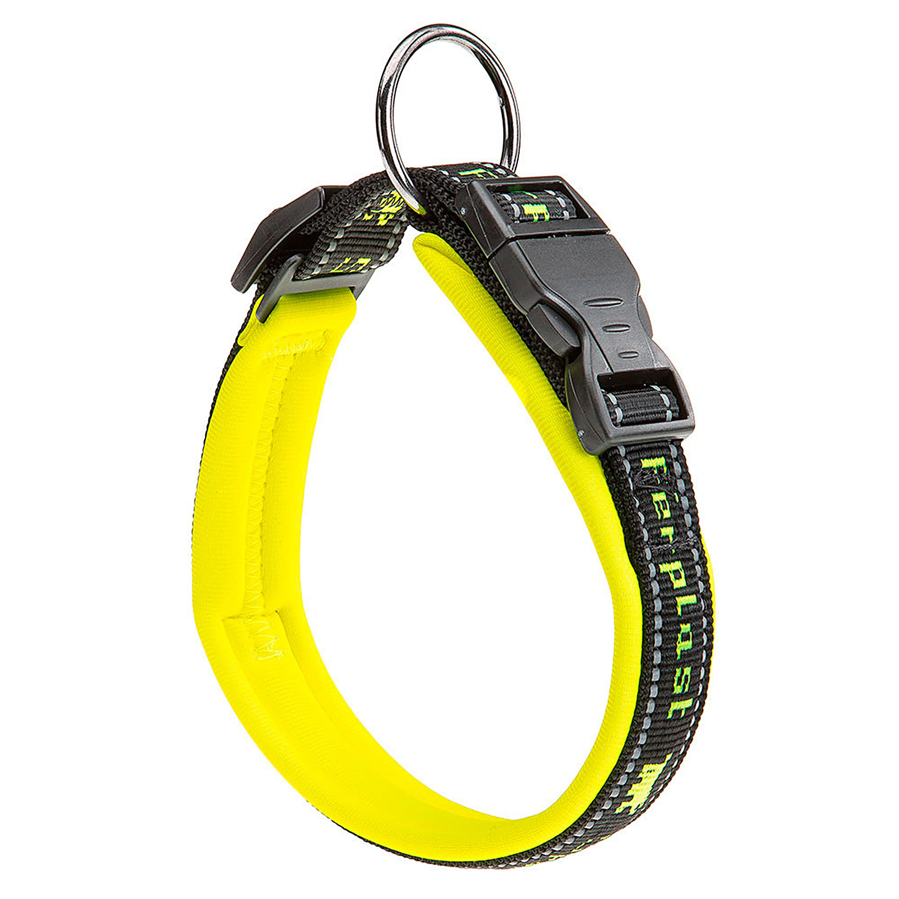 SPORT DOG C - Image 15