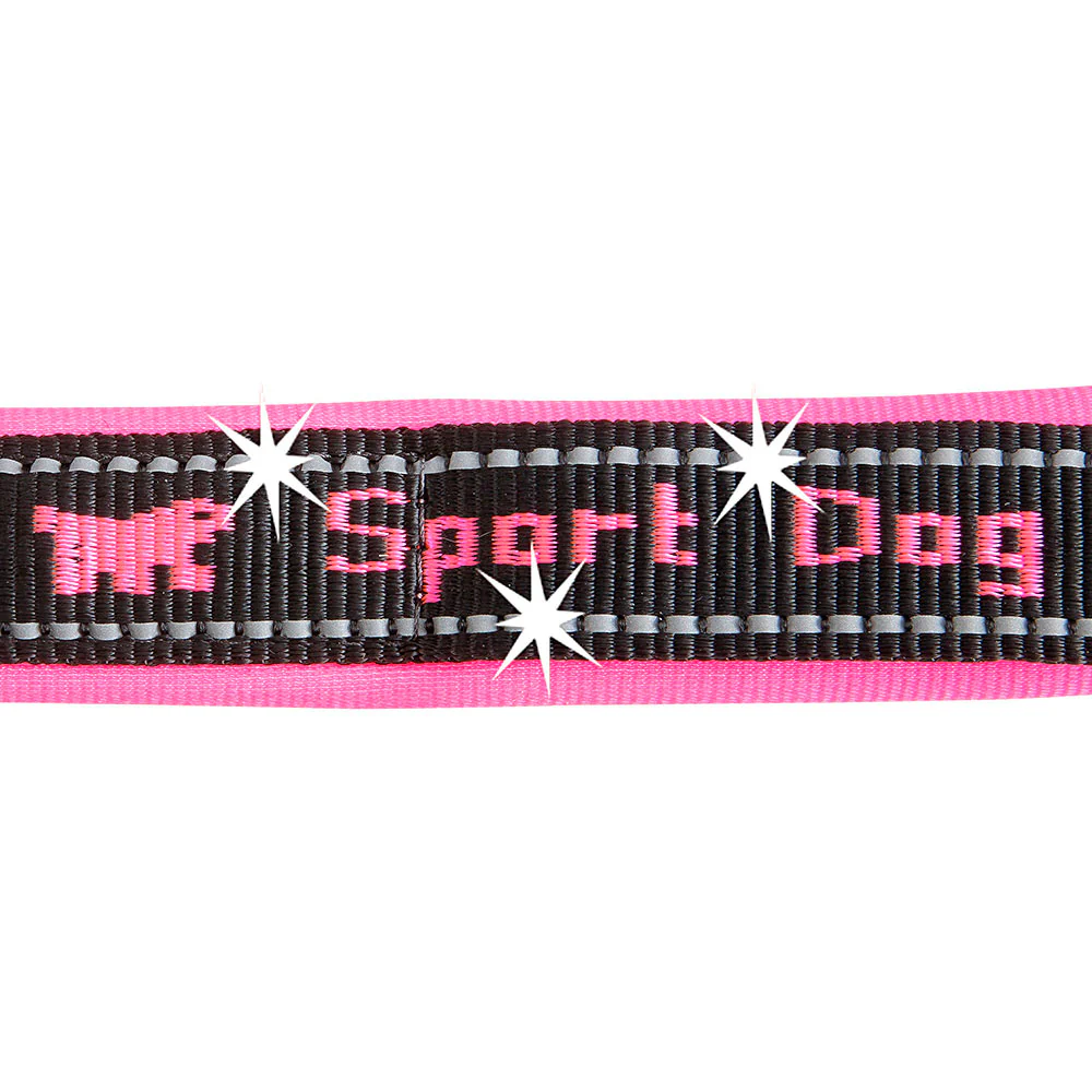 SPORT DOG C - Image 30