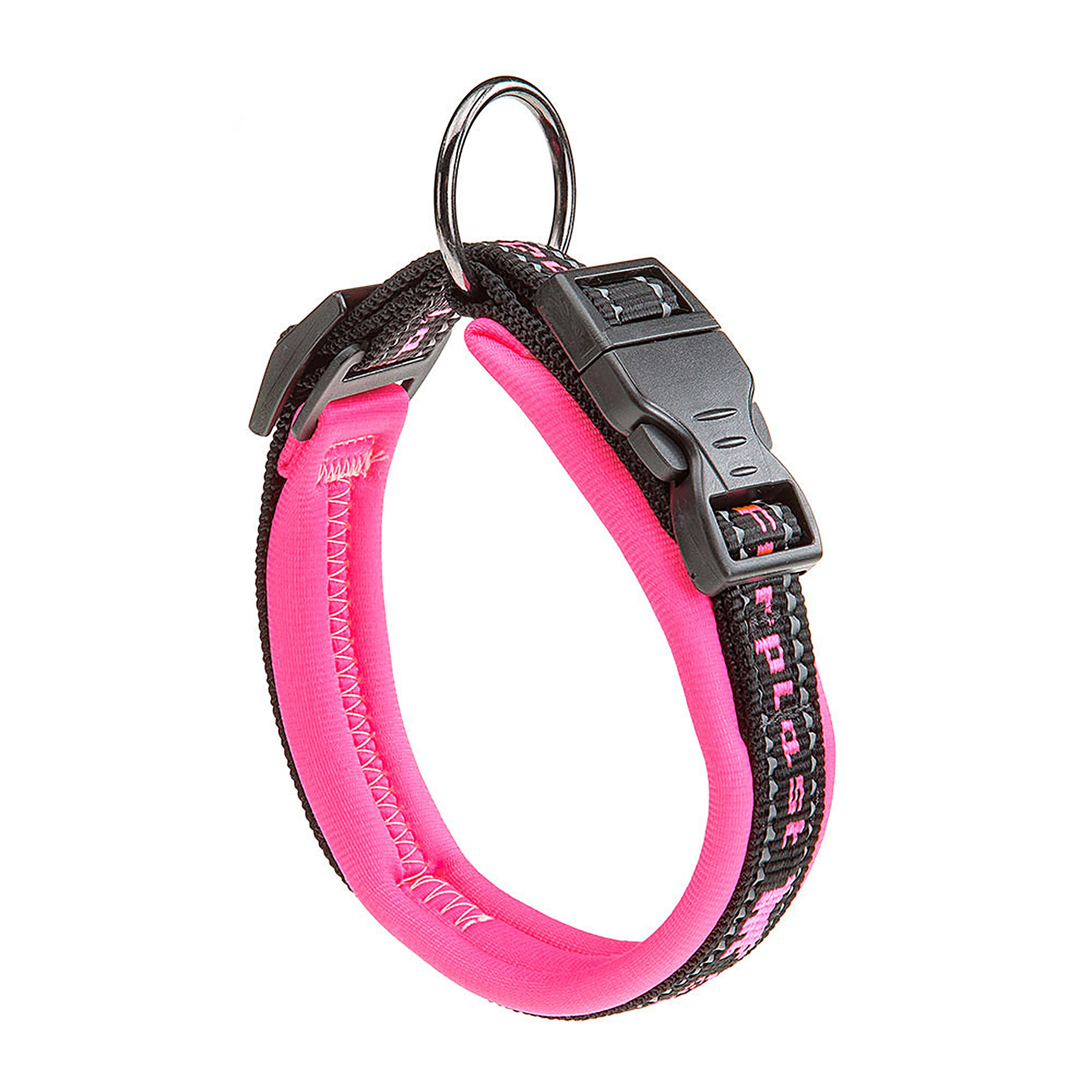 SPORT DOG C - Image 35