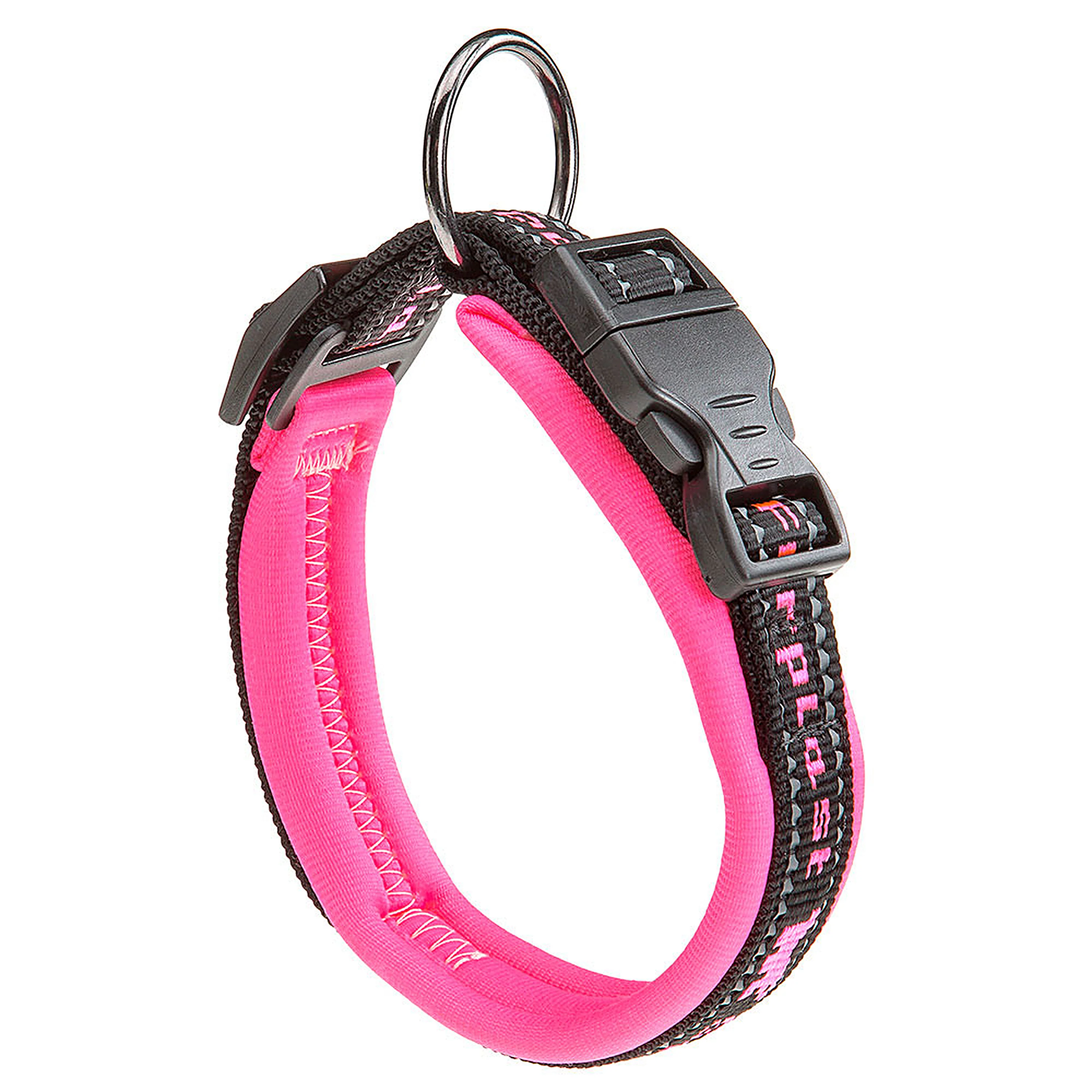 SPORT DOG C - Image 42