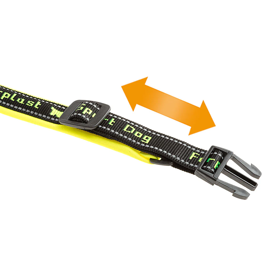SPORT DOG C - Image 5