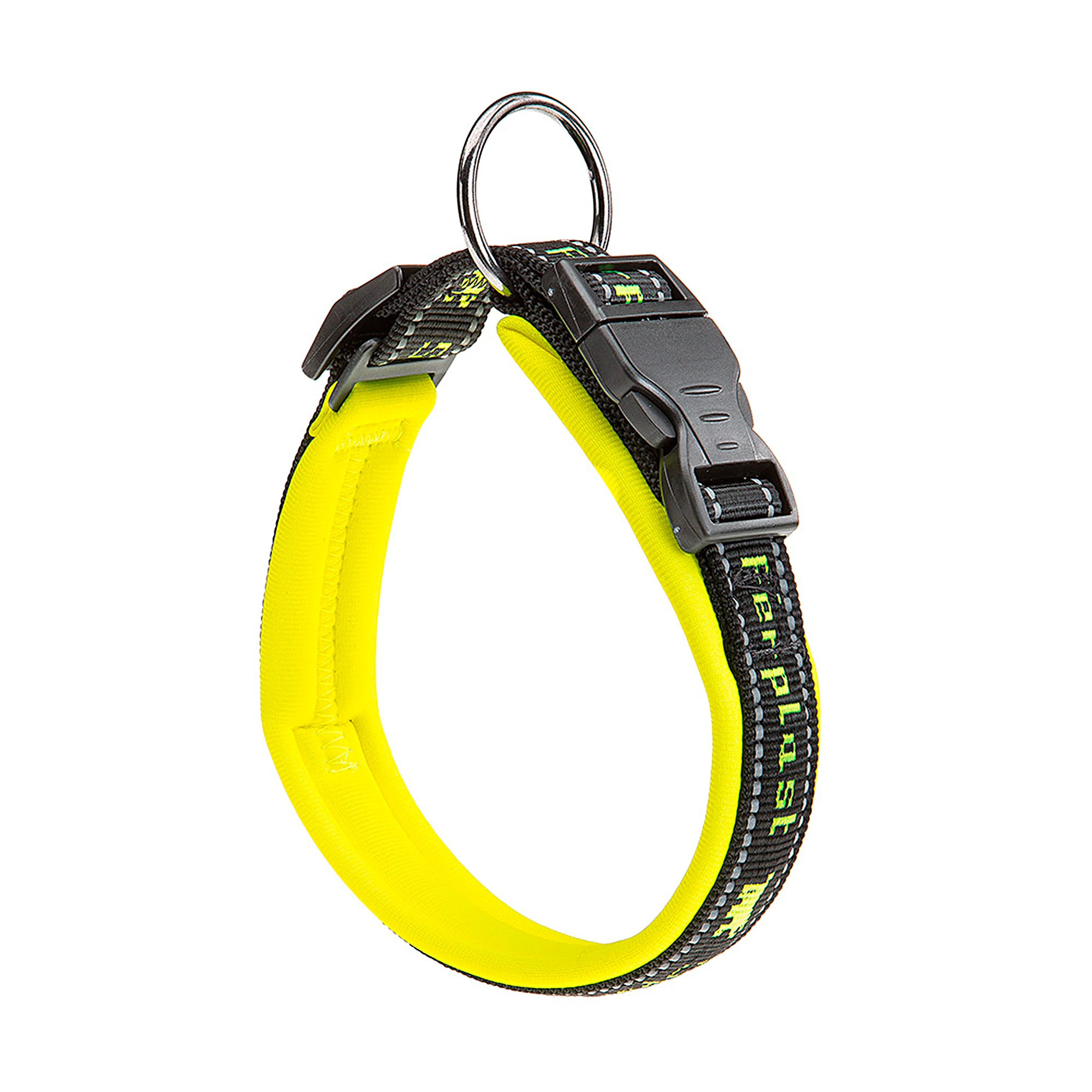 SPORT DOG C - Image 7