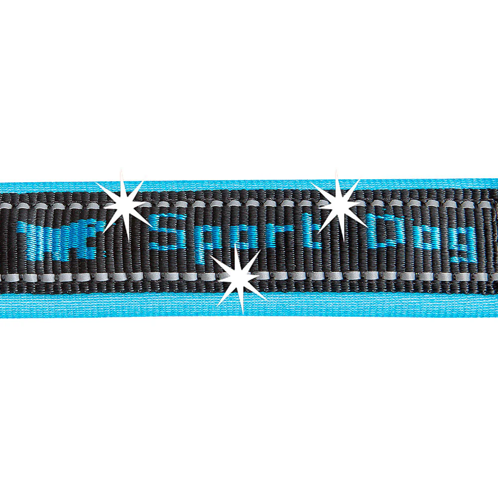 SPORT DOG GA - Image 14