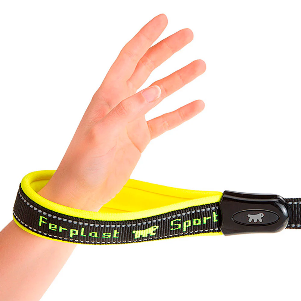 SPORT DOG GA - Image 2