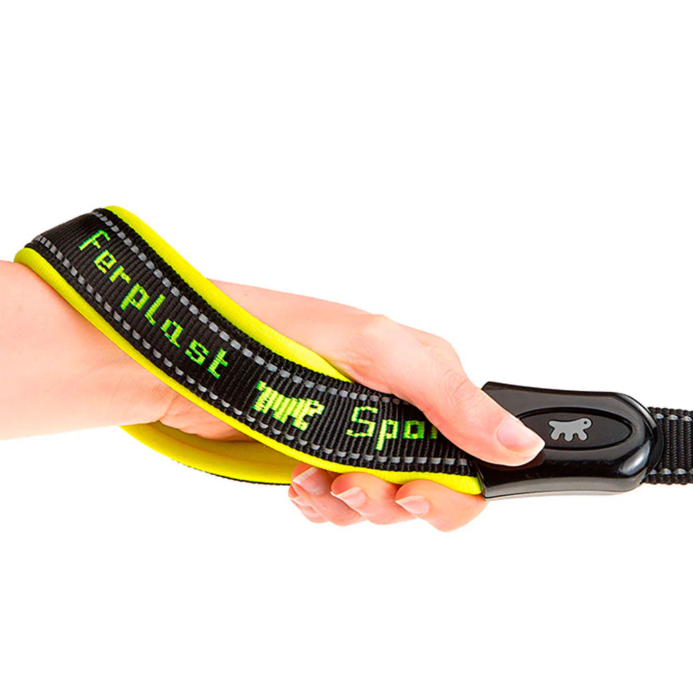 SPORT DOG GA - Image 3