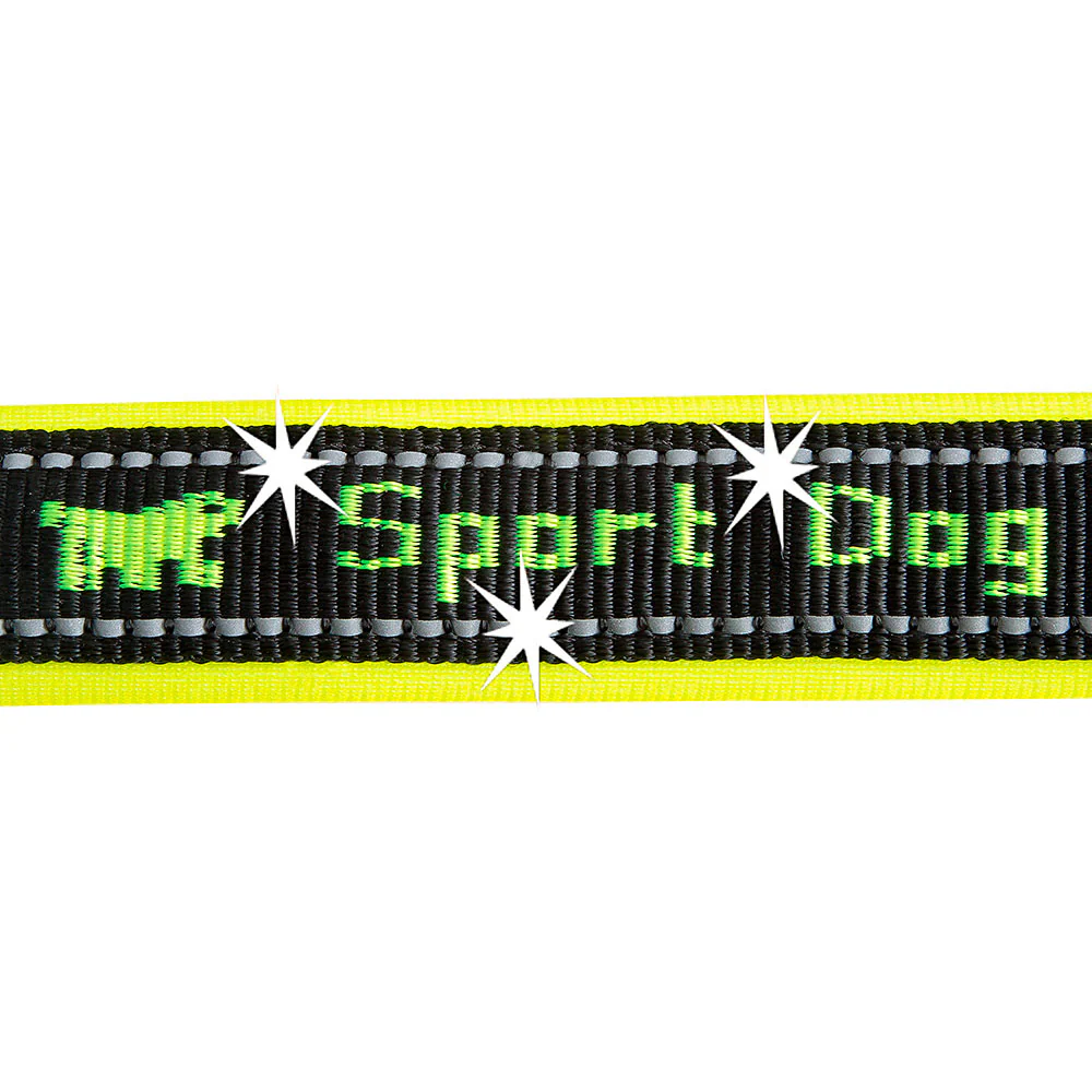 SPORT DOG GA - Image 5