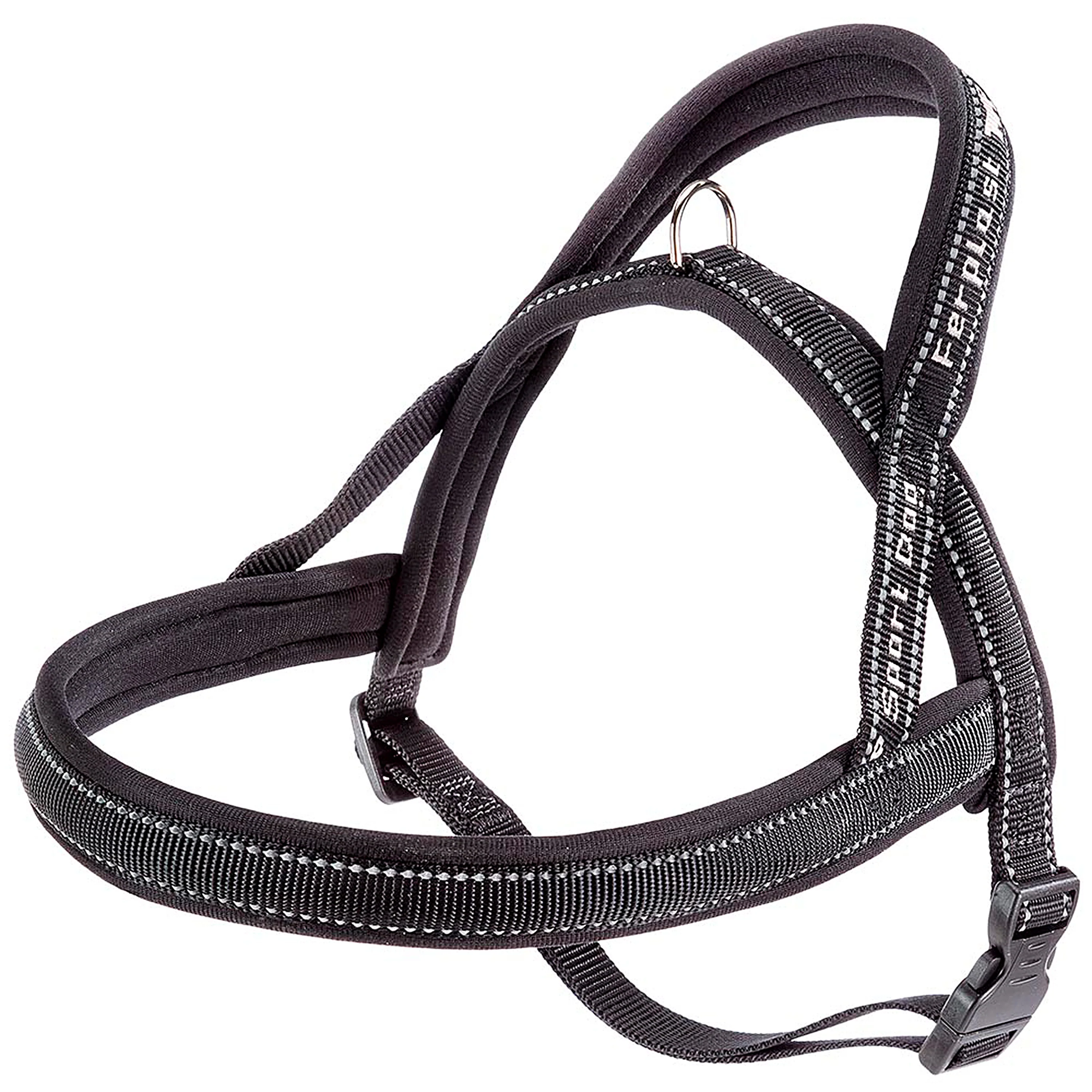 SPORT DOG P - Image 12