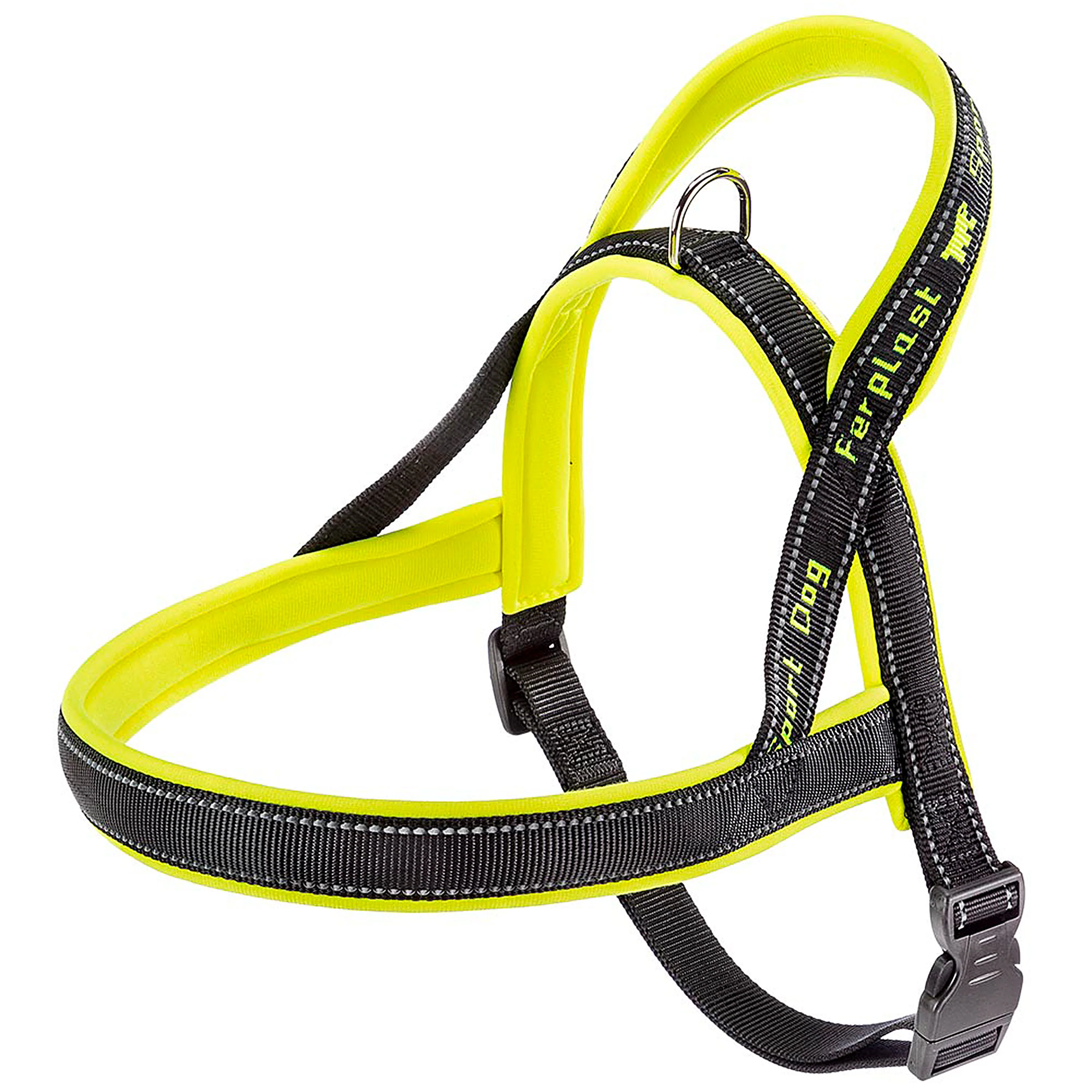SPORT DOG P - Image 13