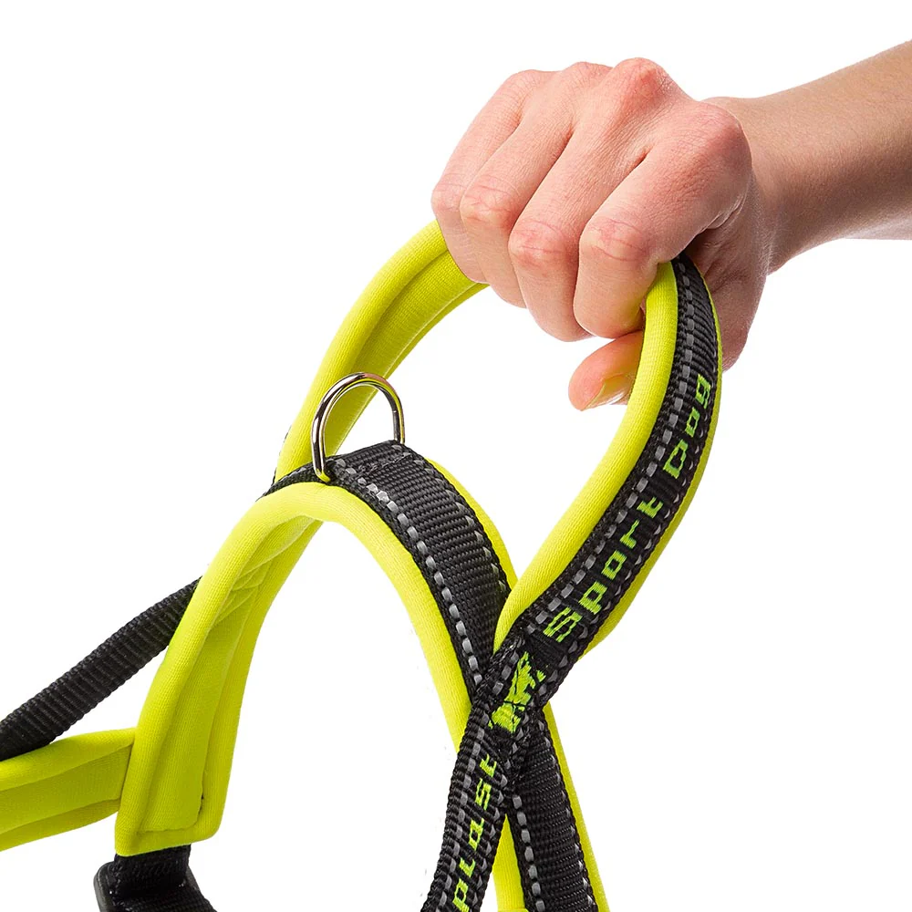 SPORT DOG P - Image 19