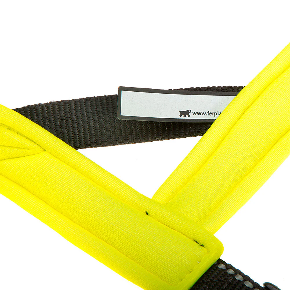 SPORT DOG P - Image 21