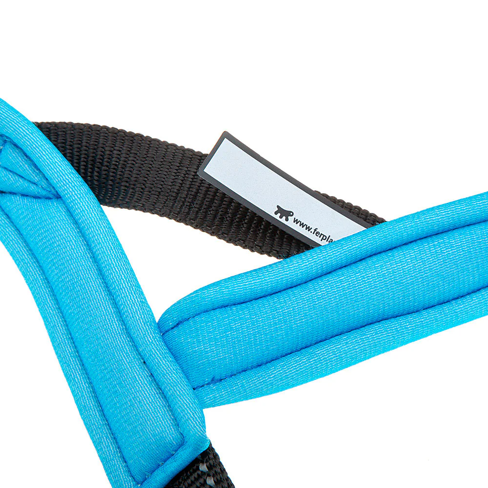 SPORT DOG P - Image 28