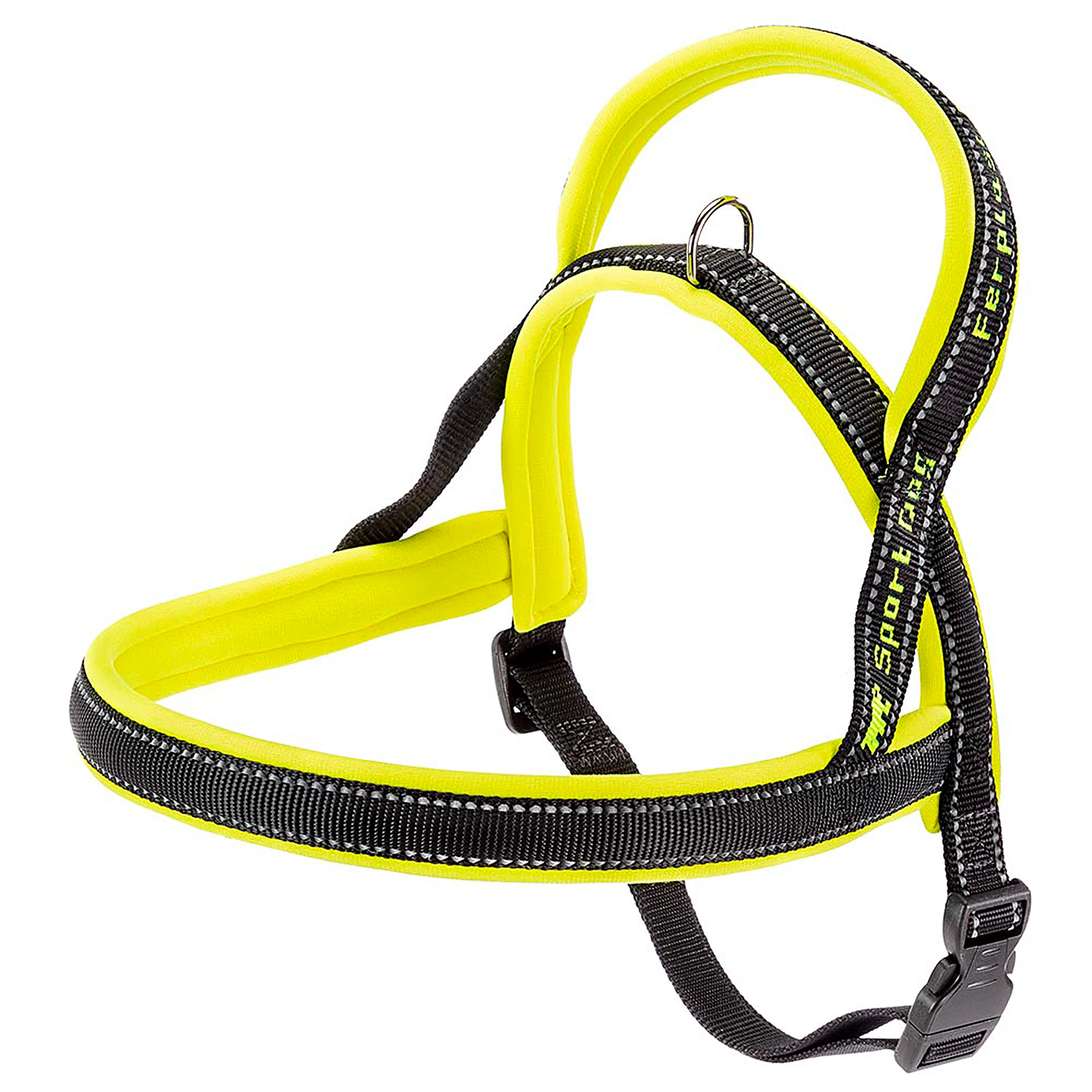 SPORT DOG P - Image 32