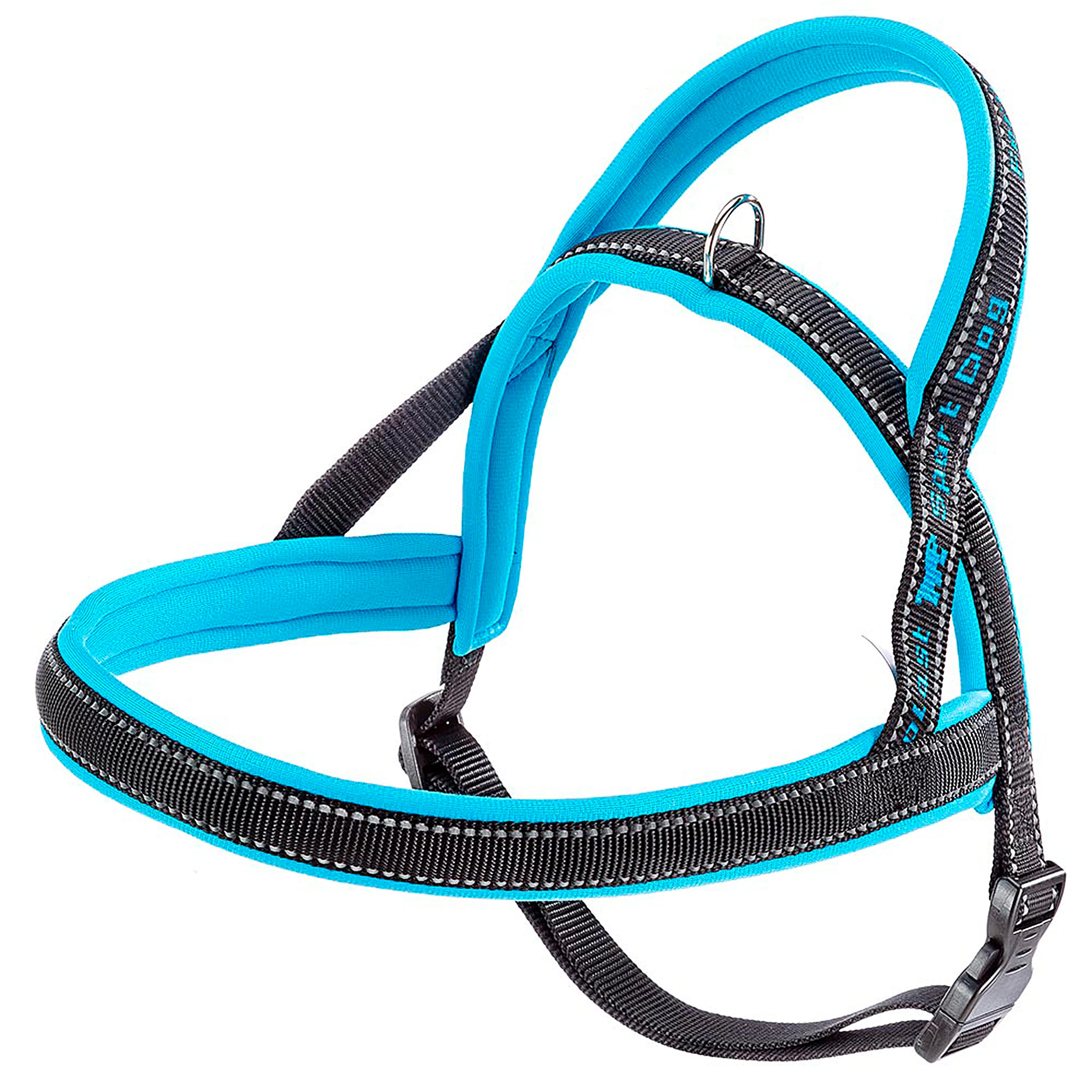 SPORT DOG P - Image 33