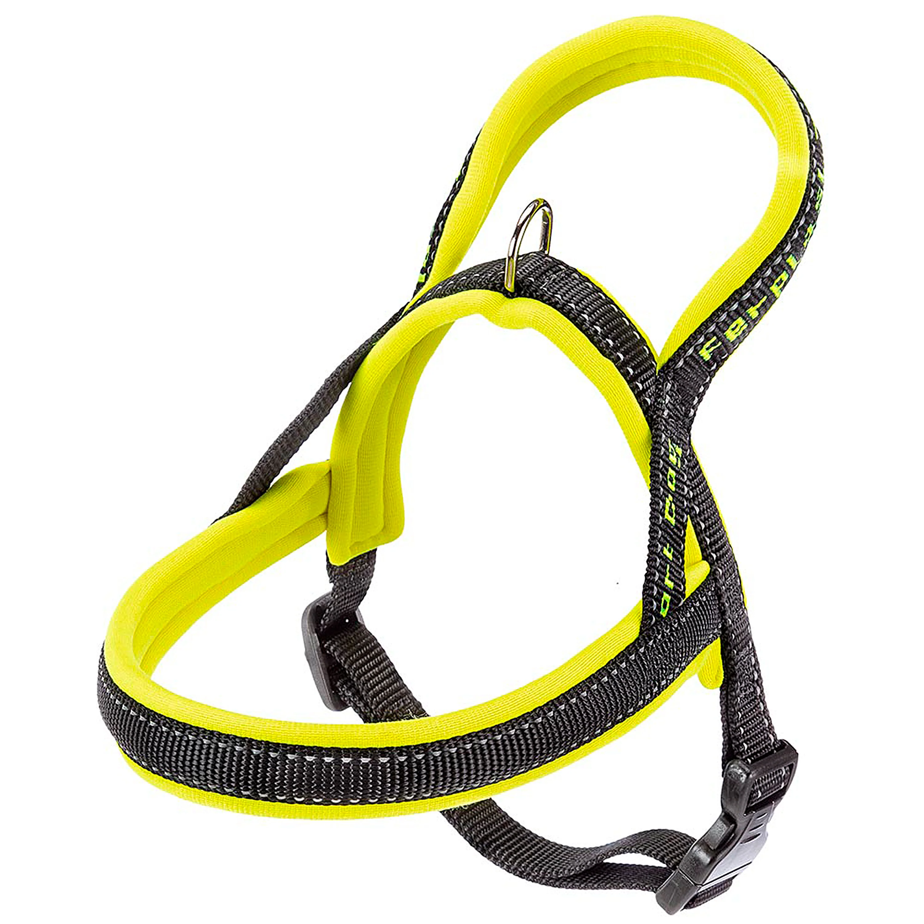 SPORT DOG P - Image 39