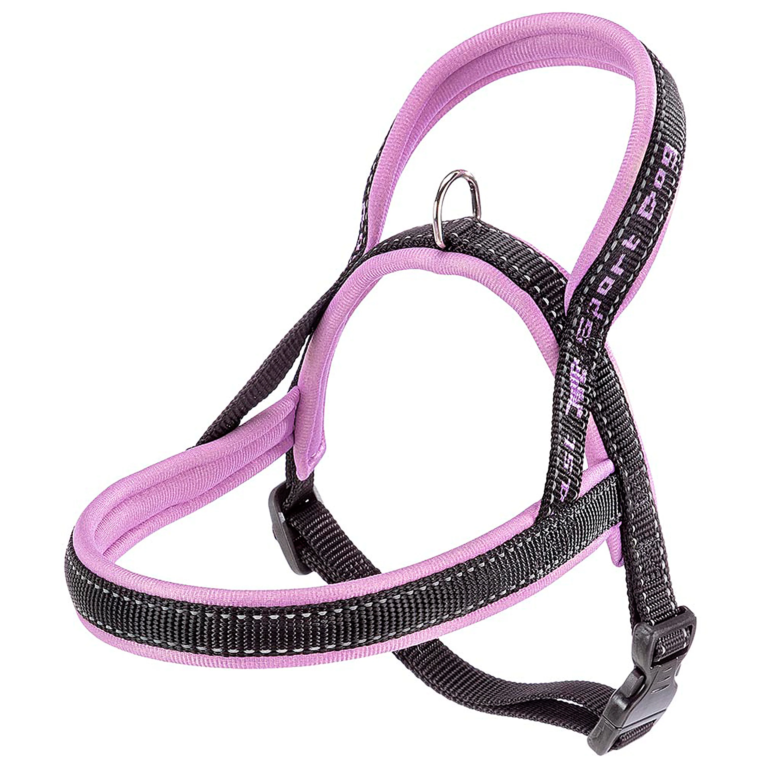 SPORT DOG P - Image 41