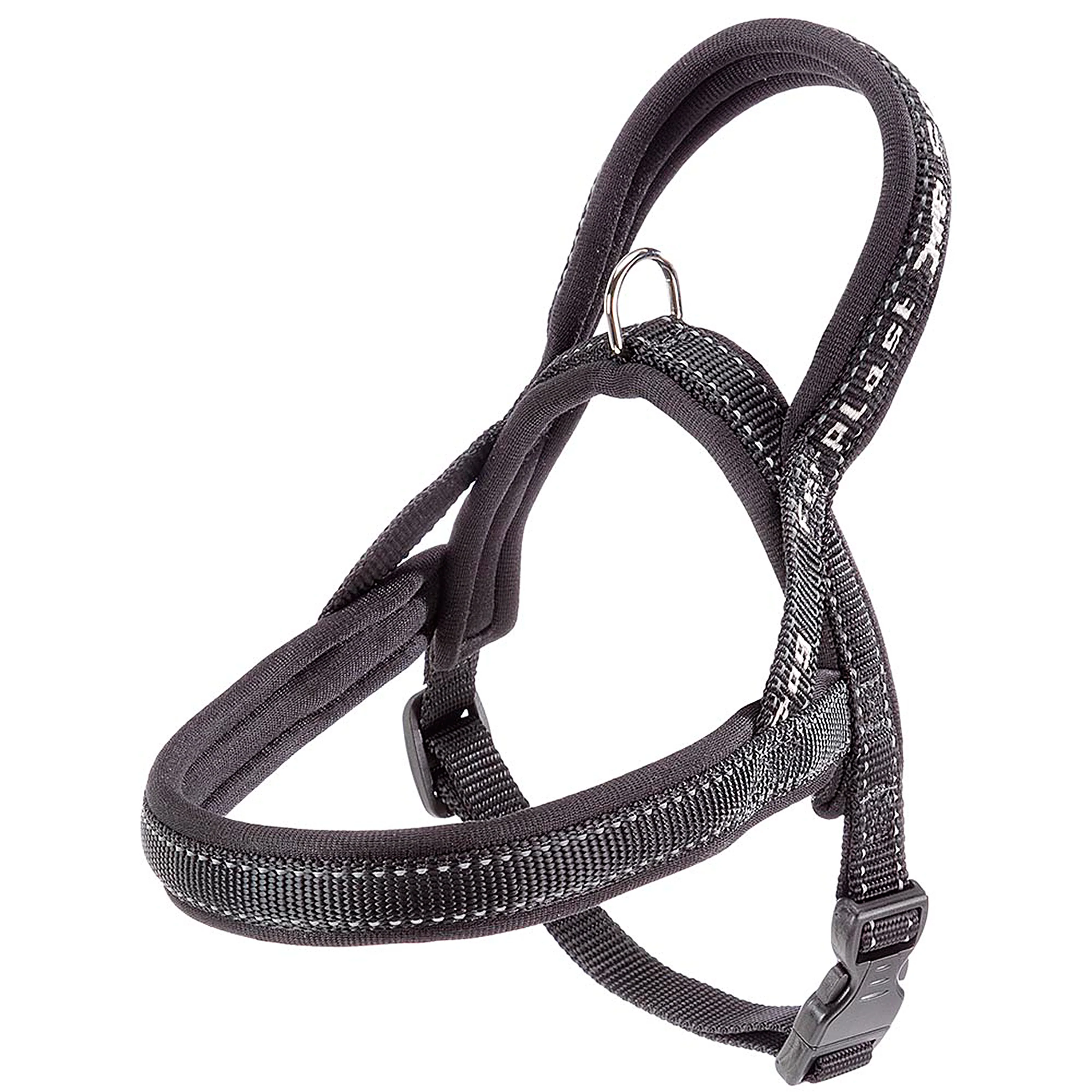 SPORT DOG P - Image 46