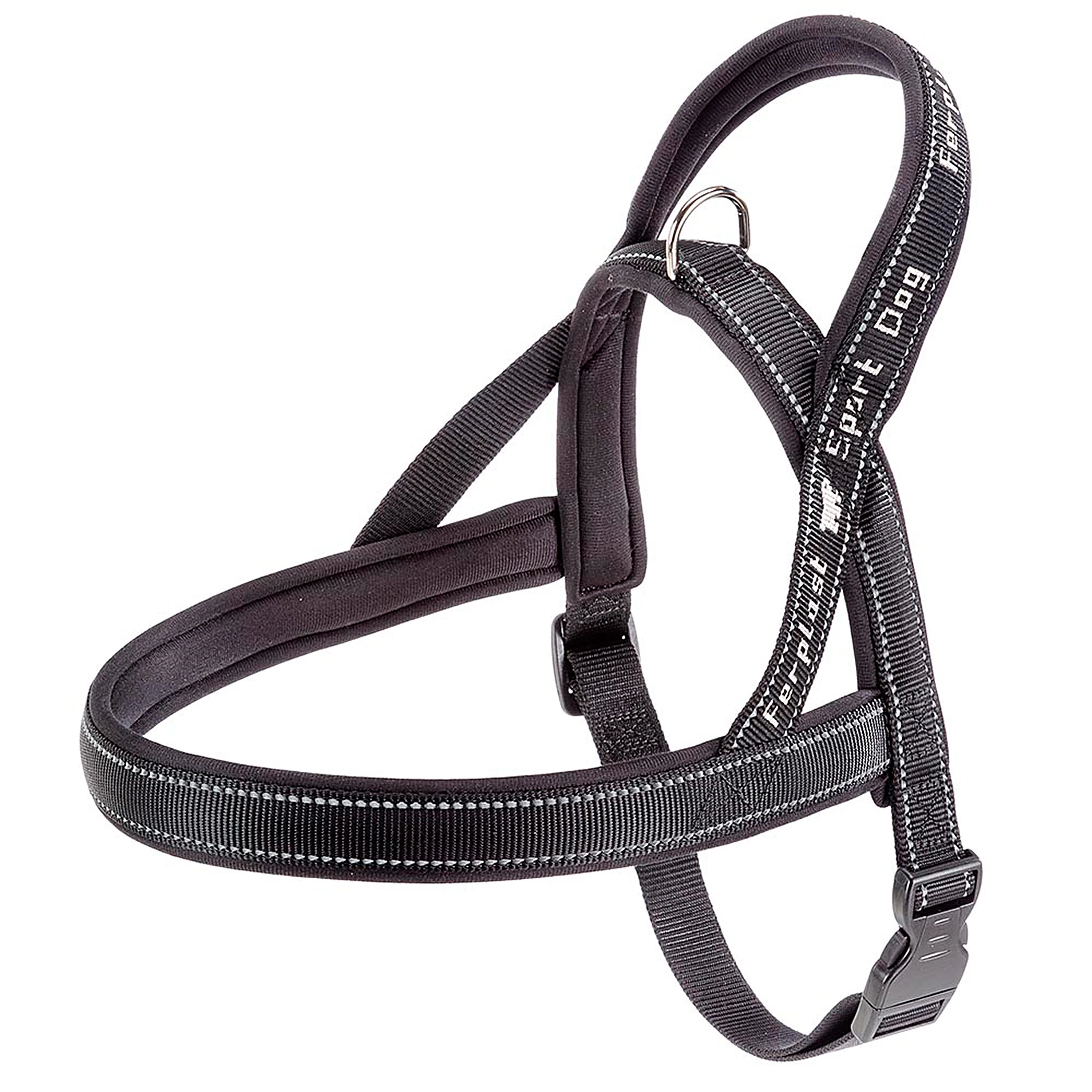 SPORT DOG P - Image 7