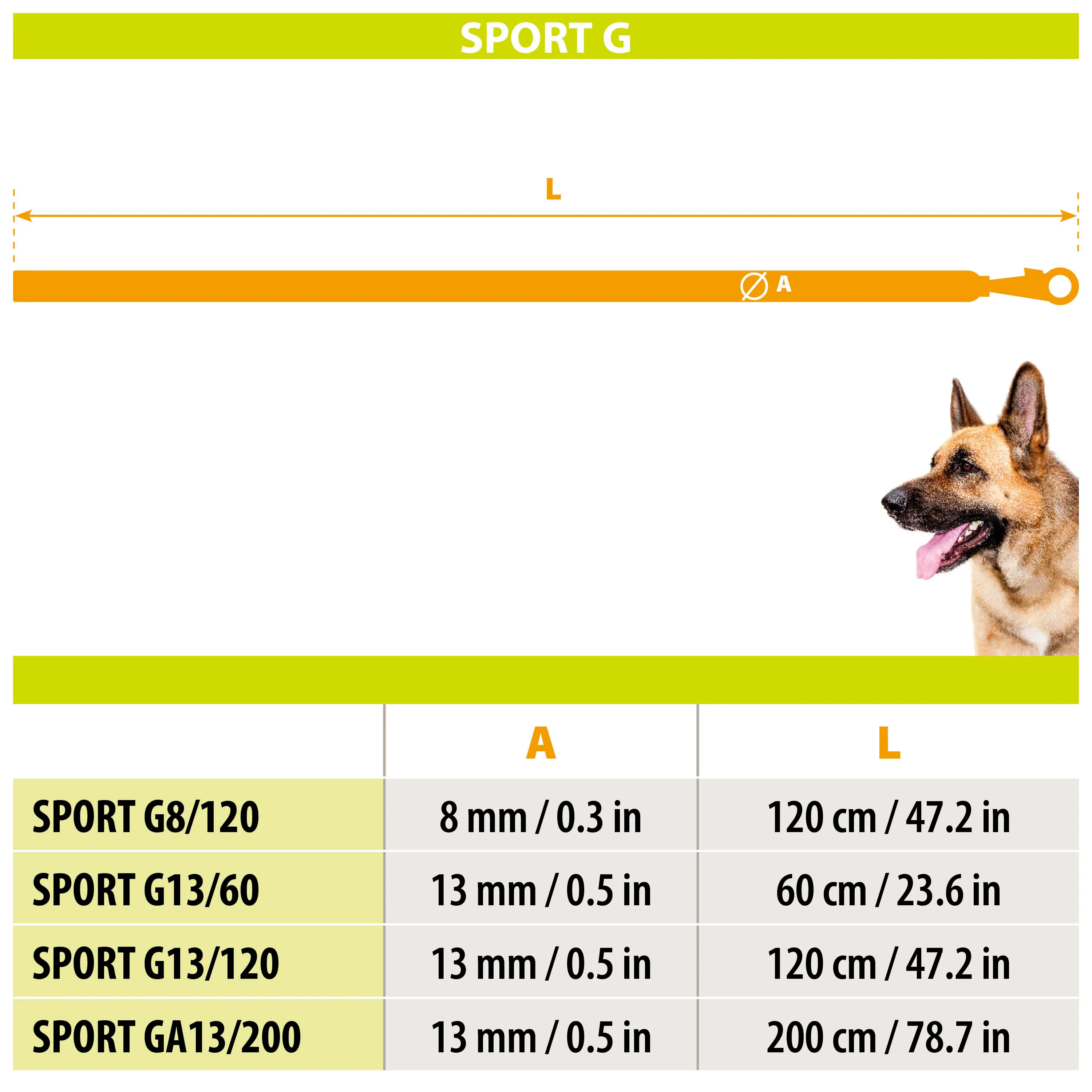 SPORT G - Image 2