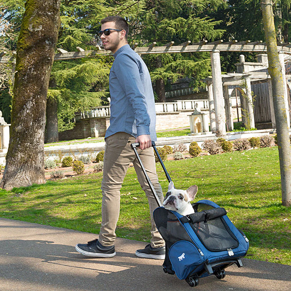 TROLLEY - Image 5