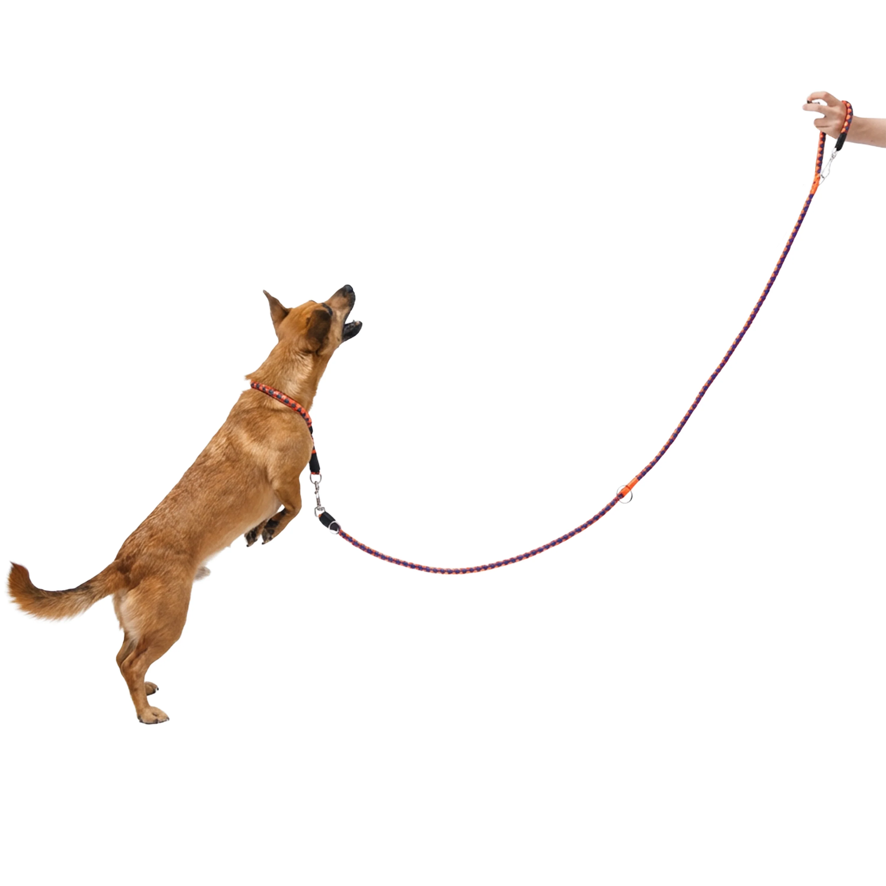 TWIST GA - Image 17