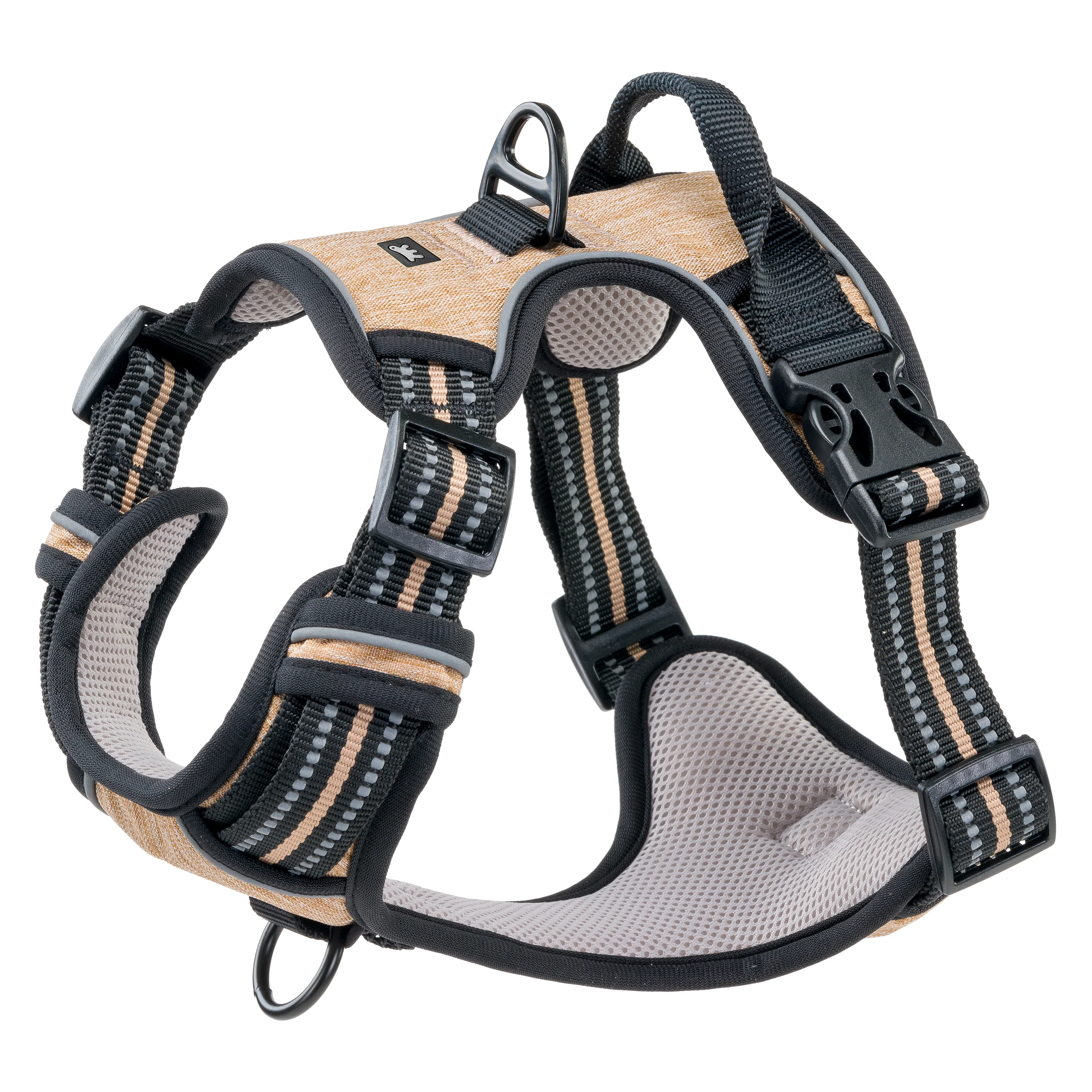 VIGOR - Image 14