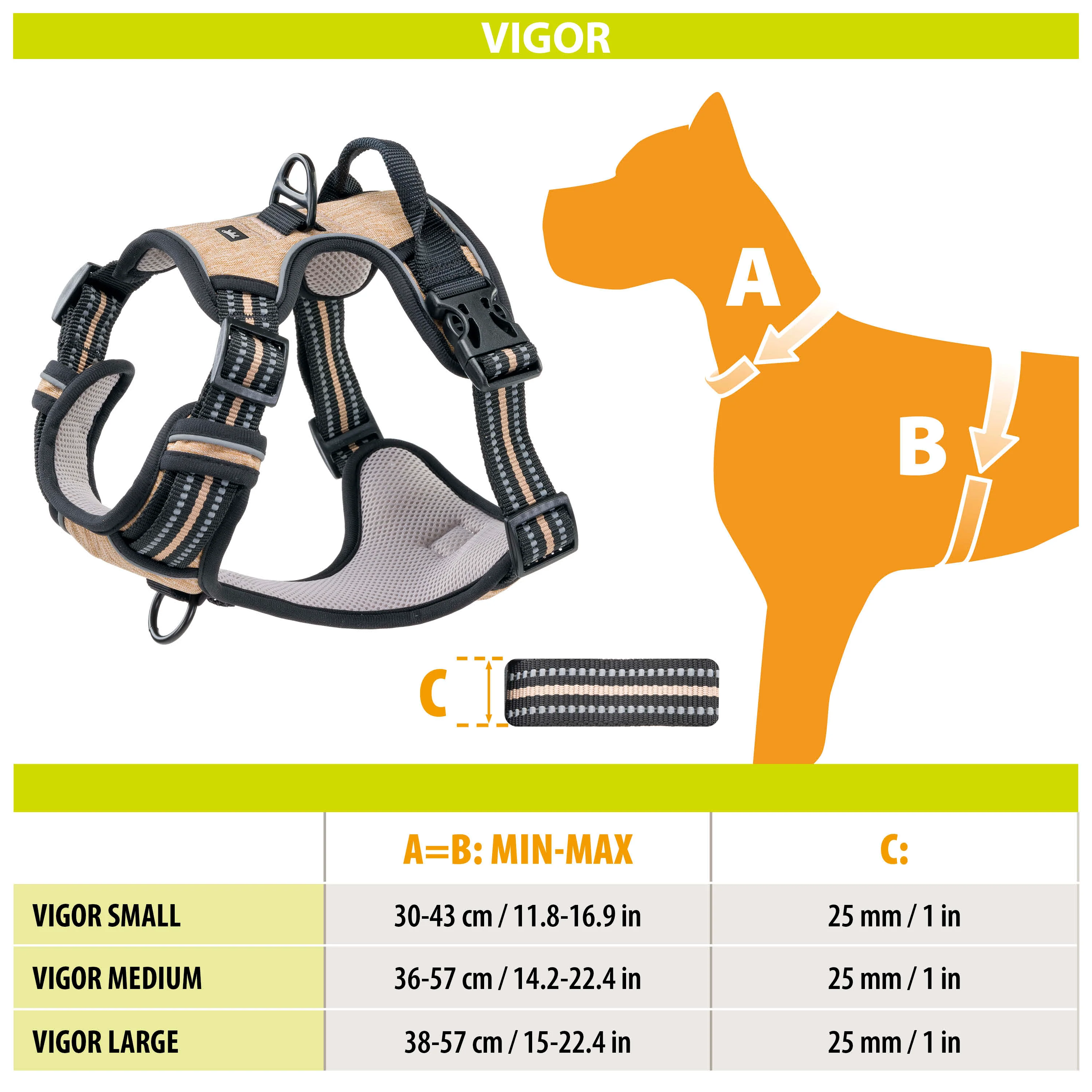 VIGOR - Image 2