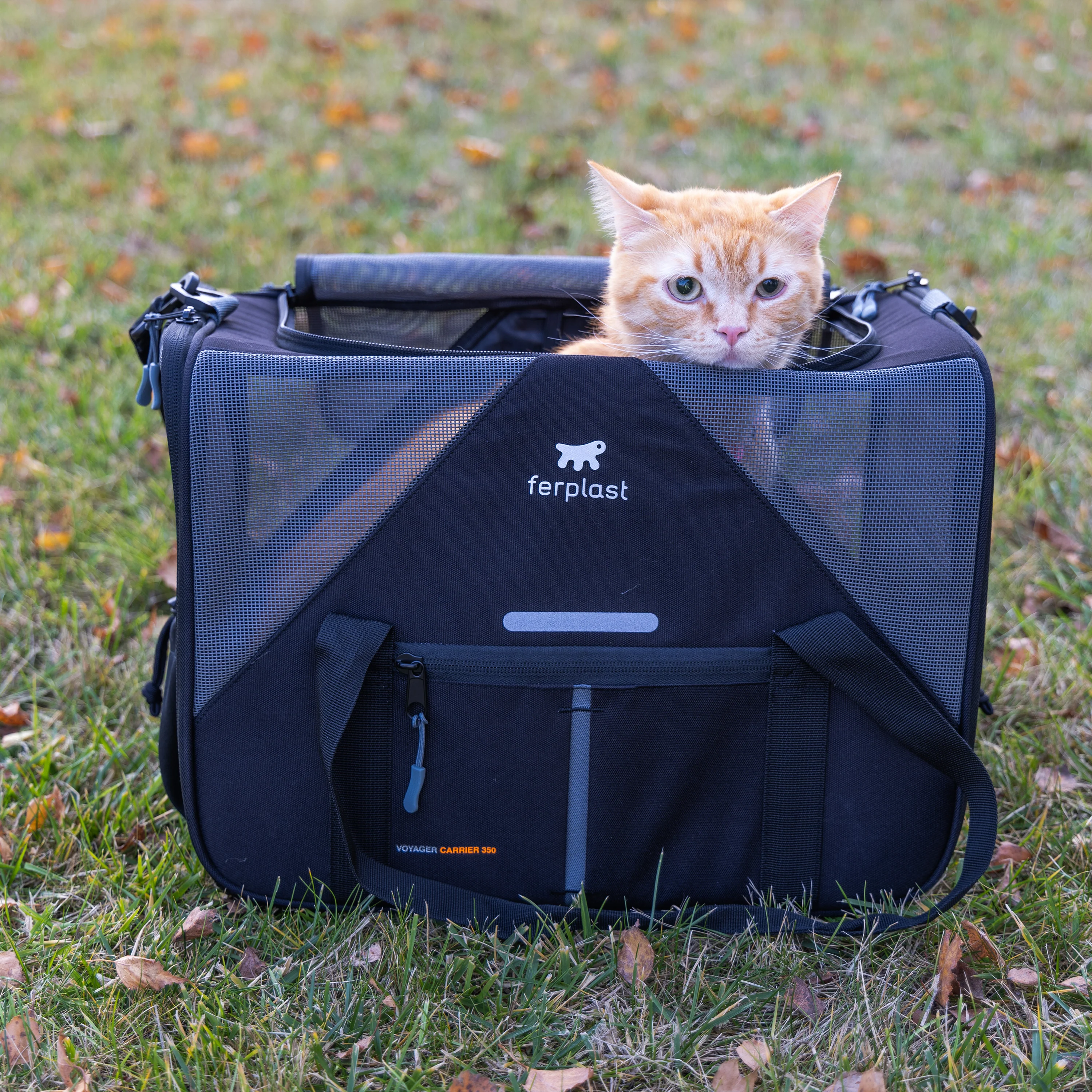VOYAGER CARRIER - Image 3