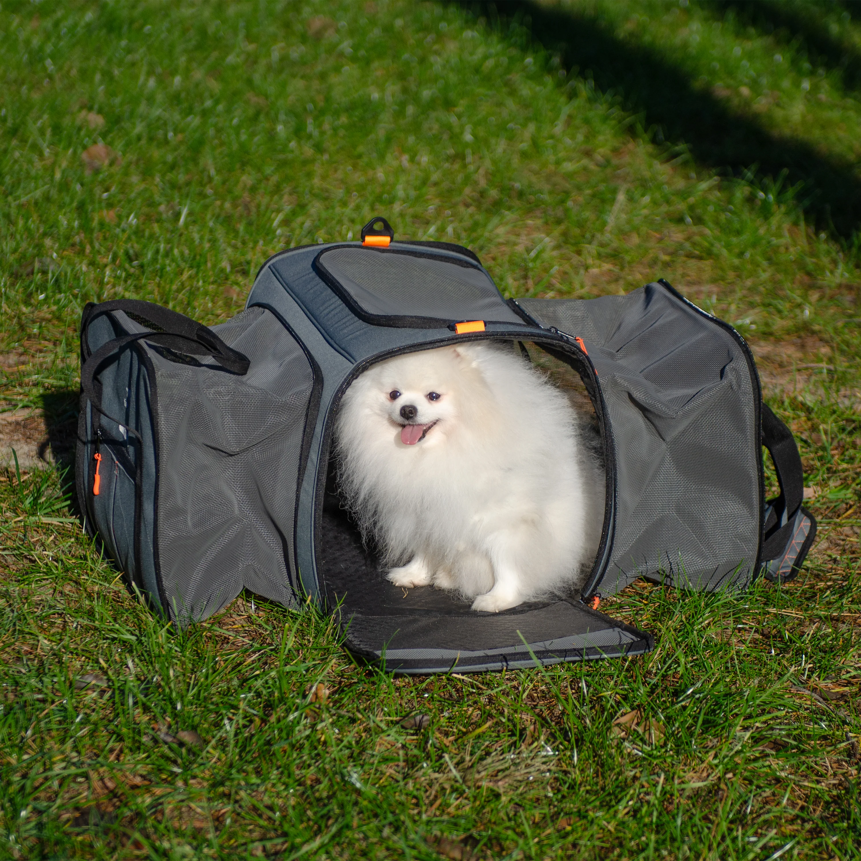 VOYAGER CARRIER PRO - Image 3